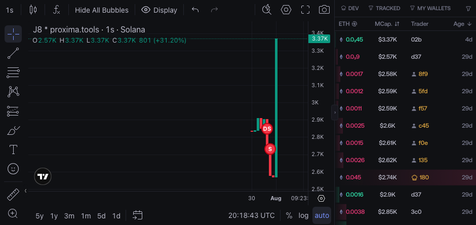 Live Workspace used to verify the active token before continuing