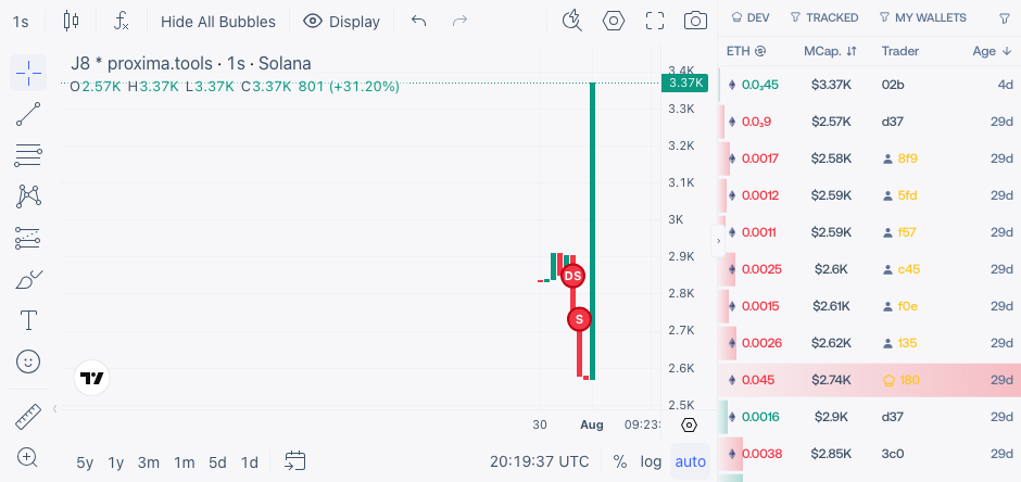Live Workspace used to verify the active token before continuing